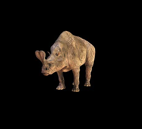 Embolotherium andrewsi