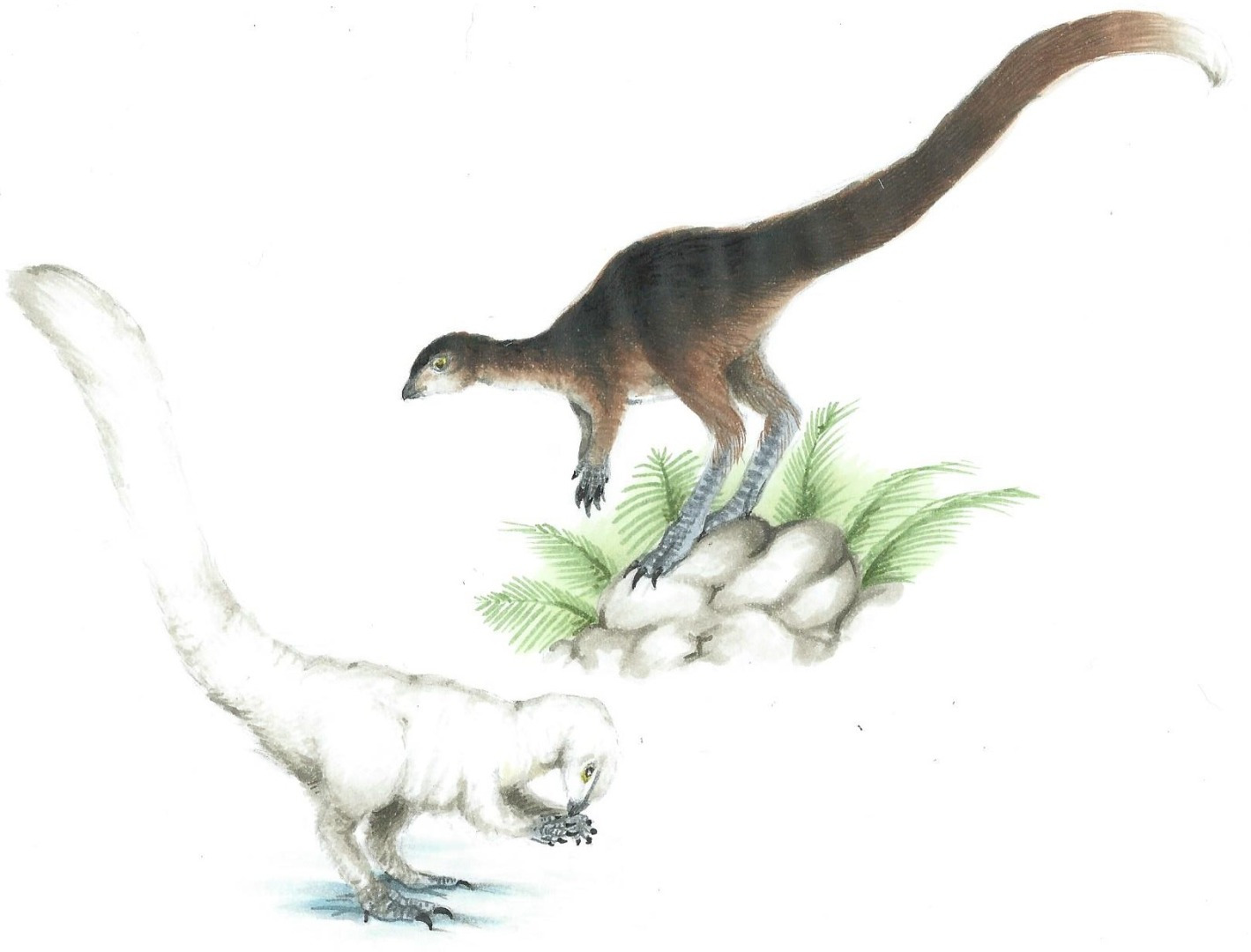 Leallynasaura