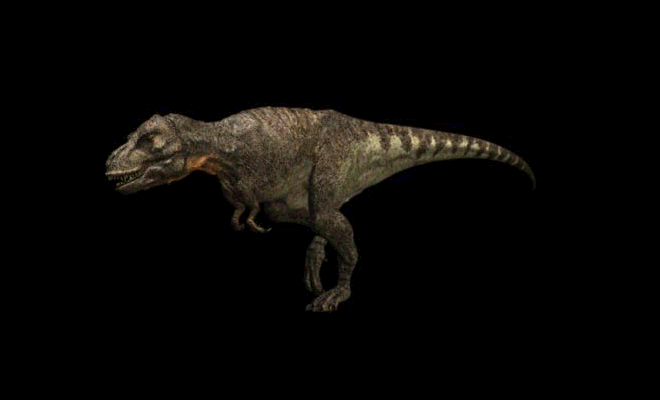 Tyrannosaurus