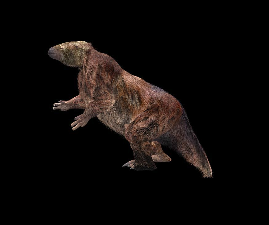 Megatherium americanum