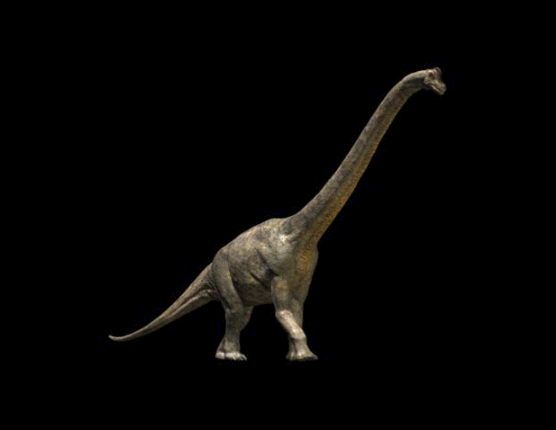 Brachiosaurus