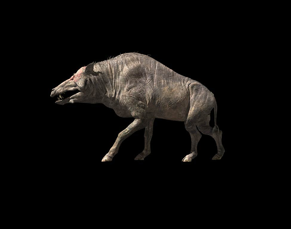 Entelodon